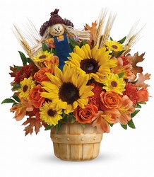 Teleflora's Smiling Scarecrow Bouquet from Krupp Florist, your local Belleville flower shop
